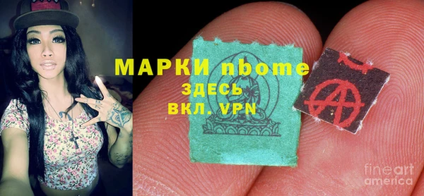 прущий лед Алзамай